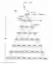 Fig. 17 - METHOD AND APPARATUS PROVIDING HIERARCHICAL MULTI-PATH FAULT-TOLERANT PROPAGATIVE PROVISIONING