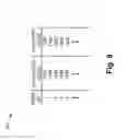 Fig. 09 - Adaptive network address translation binding for wireless networks