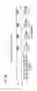 Fig. 47 - Nonvolatile memory system, and data read/write method for nonvolatile memory system