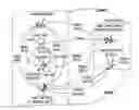 Fig. 01 - Mechanism to support flexible decoupled transactional memory