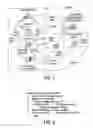Fig. 02 - Mechanism to support flexible decoupled transactional memory