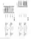 Fig. 05 - Shared access memory scheme