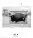 Fig. 11 - IMAGE LAYOUT ADJUSTMENT APARATUS