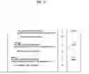 Fig. 12 - Method for processing targeting descriptor in non-real-time receiver