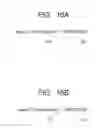 Fig. 16 - TRANSMITTER AND TRANSMISSION METHOD