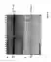 Fig. 05 - Transgenic pig model of cystic fibrosis
