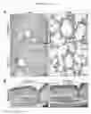 Fig. 15 - Transgenic pig model of cystic fibrosis