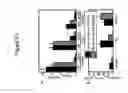 Fig. 24 - Transgenic pig model of cystic fibrosis