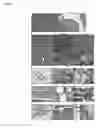 Fig. 27 - Transgenic pig model of cystic fibrosis