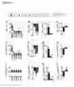 Fig. 32 - Transgenic pig model of cystic fibrosis
