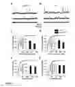 Fig. 10 - Animal models of neurological disorders