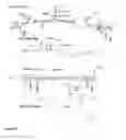 Fig. 14 - Animal models of neurological disorders