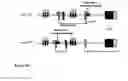 Fig. 15 - Animal models of neurological disorders