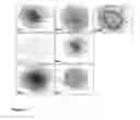 Fig. 18 - Animal models of neurological disorders