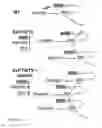 Fig. 23 - Animal models of neurological disorders