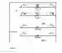 Fig. 24 - Animal models of neurological disorders