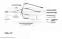 Fig. 25 - Animal models of neurological disorders
