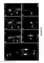 Fig. 05 - Tool for studying endothelial haematopoietic transition (EHT) and epithelial-mesenchymal transition (EMT) associated events
