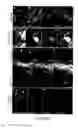 Fig. 08 - Tool for studying endothelial haematopoietic transition (EHT) and epithelial-mesenchymal transition (EMT) associated events