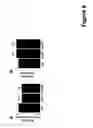 Fig. 11 - MicroRNA-24