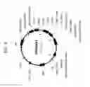 Fig. 10 - Drought tolerant plants and related constructs and methods involving genes encoding ferrochelatases
