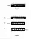 Fig. 03 - Method of modifying the carbohydrate content of a plant