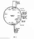 Fig. 02 - Methods for producing transgenic plants