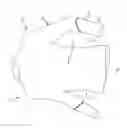 Fig. 02 - Compression shirt with roll-over sleeve