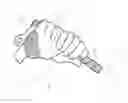 Fig. 07 - ATHLETIC SYSTEM AND ASSEMBLY FOR SWINGING A BAT OR CLUB AND METHOD FOR PROVIDING THE ATHLETIC ASSEMBLY