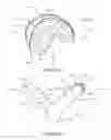 Fig. 04 - Method for a protective helmet with movable outer shell relative to inner shell