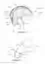 Fig. 11 - Method for a protective helmet with movable outer shell relative to inner shell