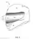 Fig. 07 - GRADIENT TINTED SHIELD