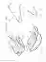 Fig. 02 - Frame supported by laminae of lessened flexibility suitable for use in cradles for small children