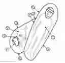 Fig. 01 - Companion sleeping bag