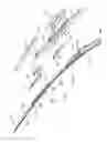 Fig. 01 - Windshield wiper blade assembly