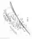 Fig. 03 - Windshield wiper blade assembly