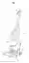Fig. 02 - Upright type vacuum cleaner