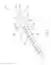 Fig. 09 - TIE STRAP STRUCTURE