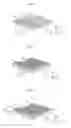 Fig. 08 - Manufacturing method of inkjet head