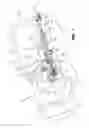 Fig. 02 - Accessory mounting apparatus for a vehicle