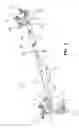 Fig. 04 - Accessory mounting apparatus for a vehicle