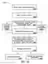 Fig. 29 - Apparatus and method for severing and inserting collated t-nuts