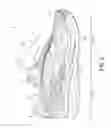 Fig. 03 - Footwear