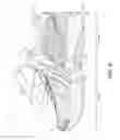 Fig. 04 - Footwear