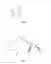 Fig. 03 - FLEXIBLE FOOTWEAR