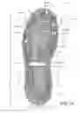 Fig. 15 - Footwear
