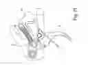Fig. 18 - Firearm trigger group