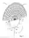Fig. 03 - Mobile hunting decoy