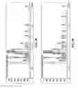 Fig. 33 - High throughput screening of fatty acid composition