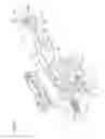 Fig. 07 - Door opening/closing system and catch therefor